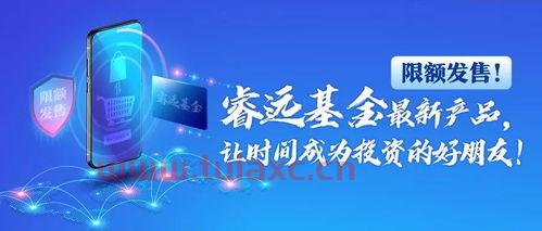 睿远成长价值混合基金007119