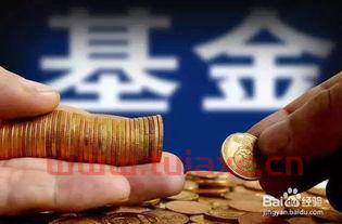 新手如何购买混合基金