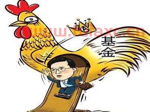 买哪种基金稳挣不赔钱