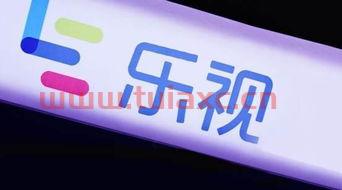 300104乐视网