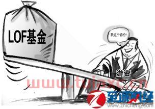 lof基金的优点和缺点