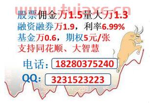 哪个证券收费最便宜