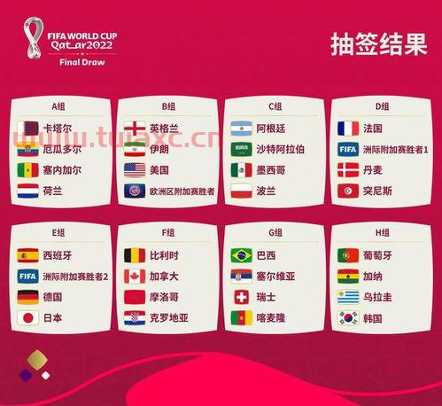2022世界杯抽签分组结果如何