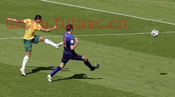 巴西世界杯进球集锦