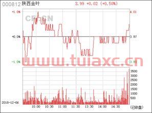 陕西金叶000812股吧