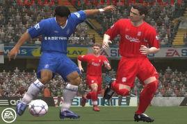 fifa世界杯