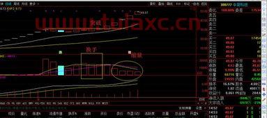 股票买卖基本常识和技巧知识