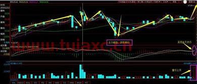 石墨烯股票龙头一览