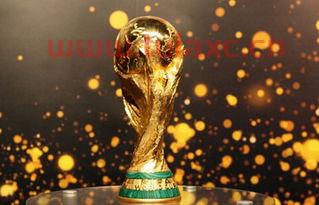 2022世界杯在冬天11月18