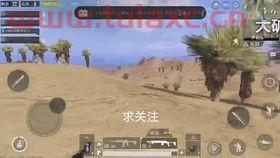甚加戈念什么