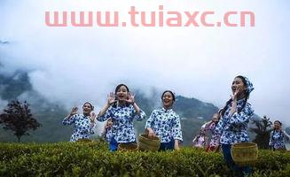 贵州人和官网