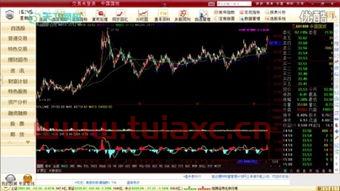 股票入门基础知识入门教程