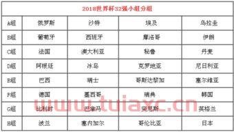 世界杯48支球队怎么分组