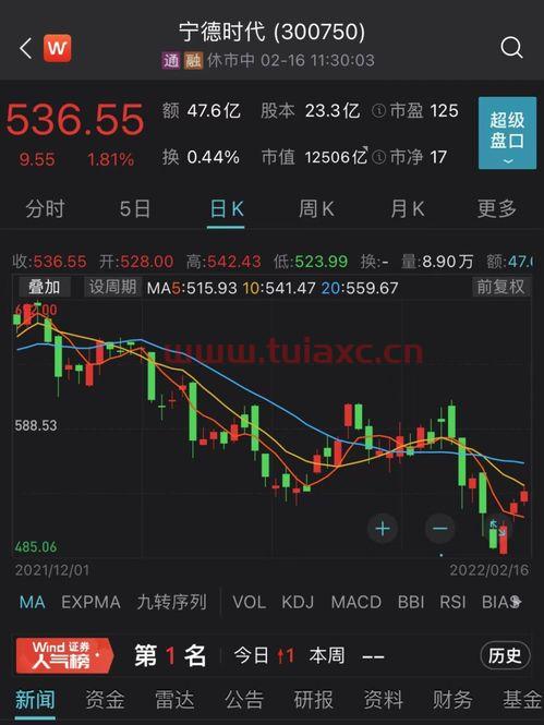 大基建股票的十大龙头股