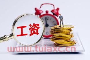 指数基金怎么买才赚钱视频讲解