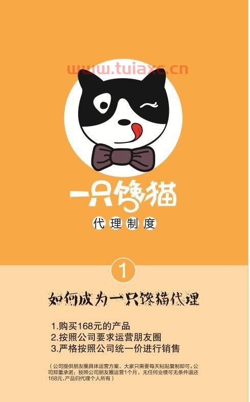 大馋猫也来炒股票
