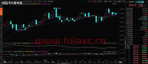 大盘指数趋势抄股法（大盘指数趋势知识） 第1张