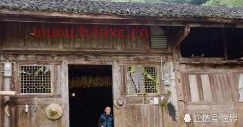 8个亿的金丝楠木古屋主人（八个亿的金丝楠木屋） 第1张