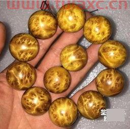 金丝楠木是最贵的木材吗（金丝楠木是不是最好最贵重的木材） 第1张