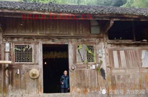 金丝楠木豪宅（全金丝楠木的房子） 第1张
