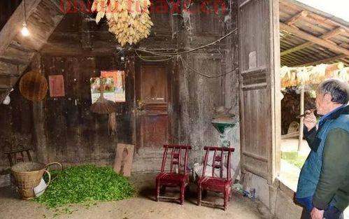 金丝楠木老宅捐献结局呢（金丝楠木房子捐给国家） 第1张