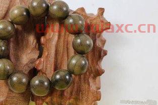 金丝木和金丝楠木哪个好养（金丝楠木和金丝乌木哪个好） 第1张