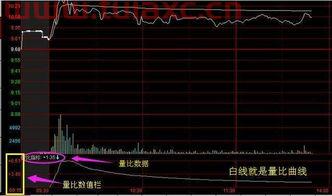 什么是现量和量比（什么叫现量） 第1张