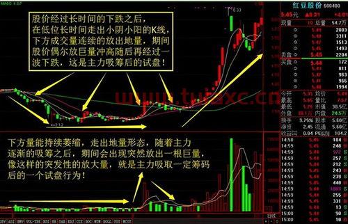 如何看股票吸筹成功（怎么看出来股票在吸筹码） 第1张